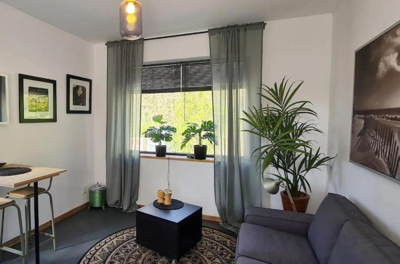 Studio Tussen De Bossen En De Bollenvelden Noordwijkerhout Bagian luar foto